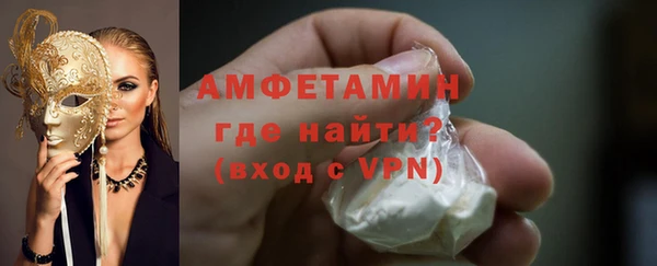 прущие грибы Елабуга