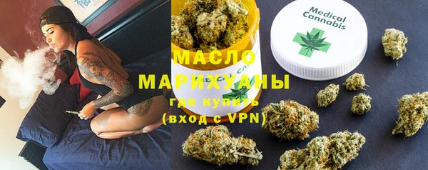 прущие грибы Елабуга