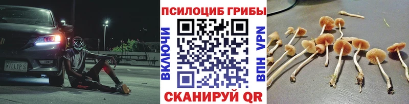 Псилоцибиновые грибы мицелий  ОМГ ОМГ зеркало  Хвалынск 